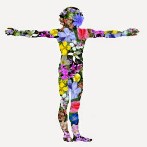 Fiori di Bach - Composizione personalizzata