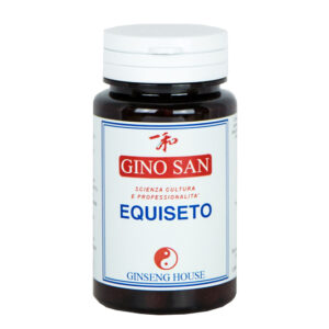 Equiseto
