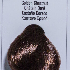CASTANO DORATO - immagine 2