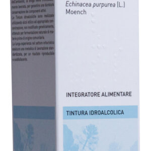 Echinacea