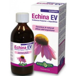 ECHINA EV