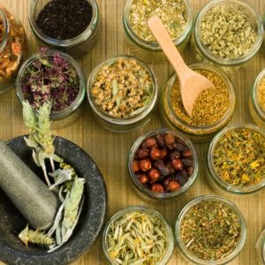 THE SENCHA - in foglie