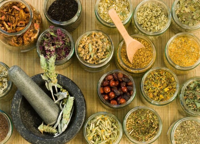 THE SENCHA - in foglie