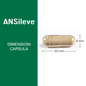 ANSILEVE - immagine 3
