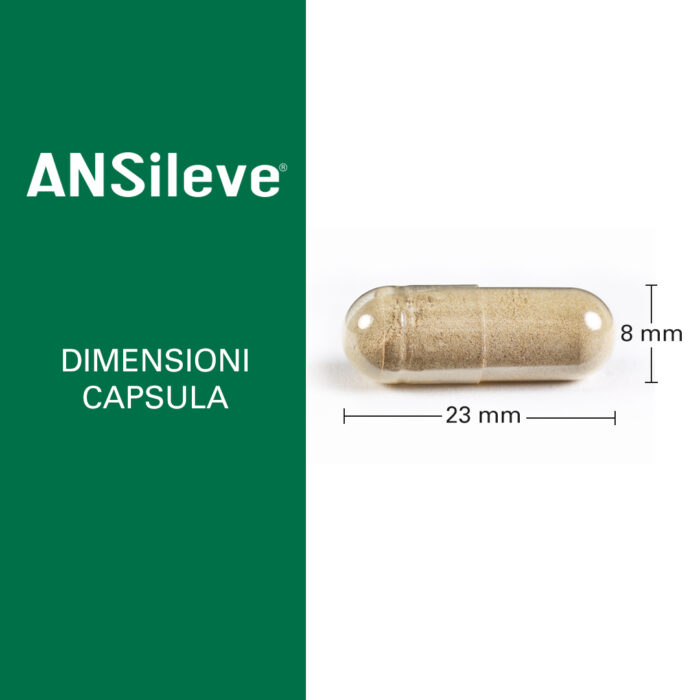ANSILEVE - immagine 3