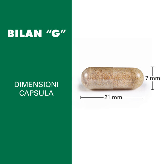 Bilan G - immagine 2