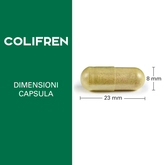 COLIFREN - immagine 3
