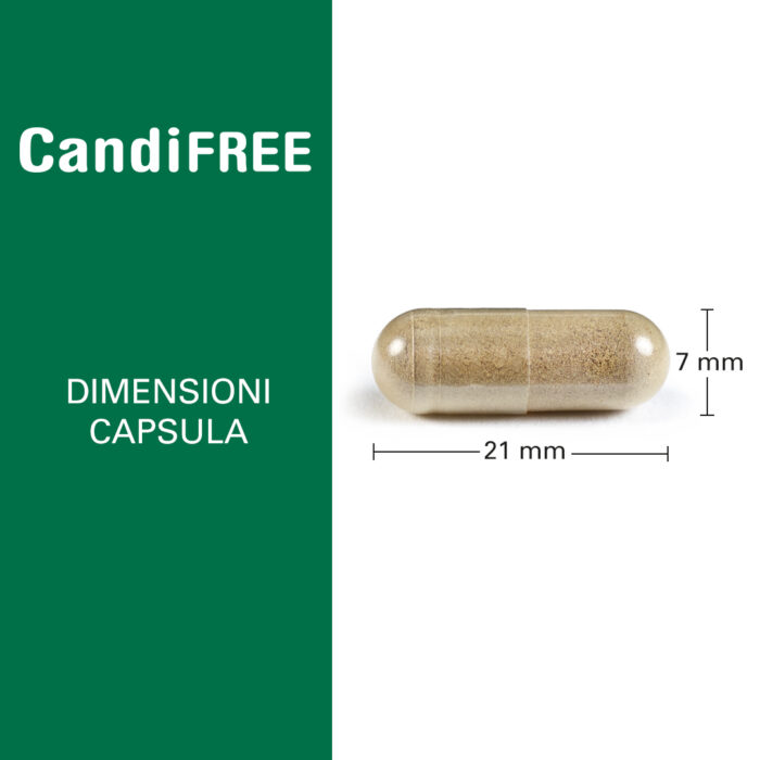 DONNA CANDIFREE - immagine 2