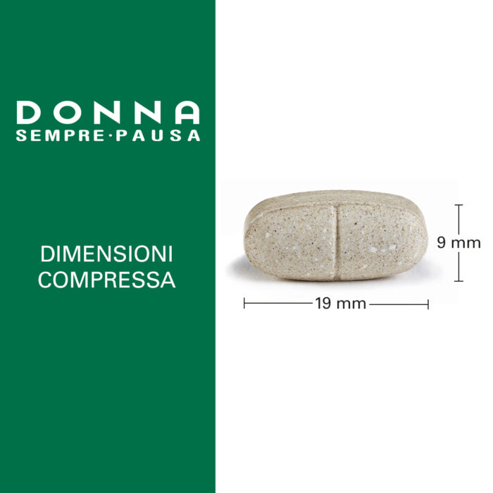 DONNA SEMPRE-PAUSA - immagine 3