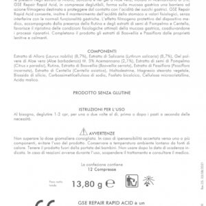 GSE REPAIR RAPID ACID - immagine 5