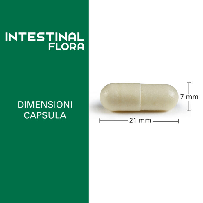 INTESTINAL FLORA - immagine 3