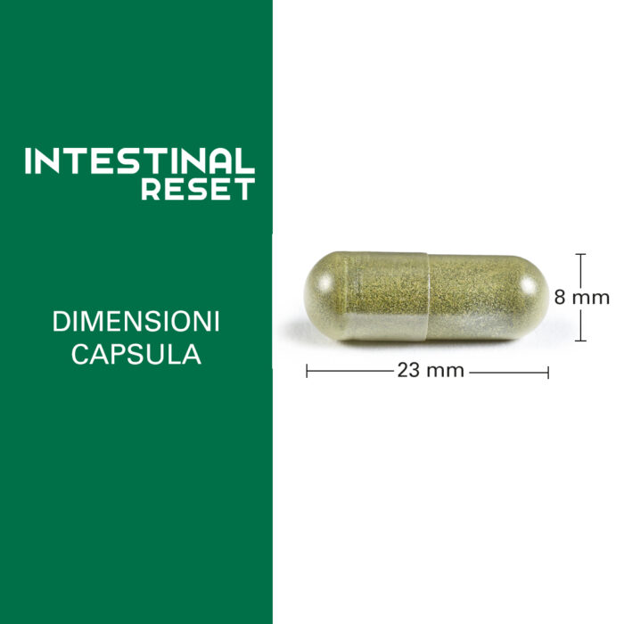 INTESTINAL RESET - immagine 4