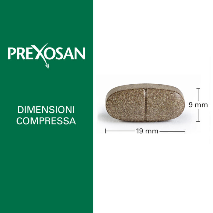 PREXOSAN - immagine 3