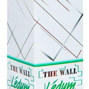 THE WALL