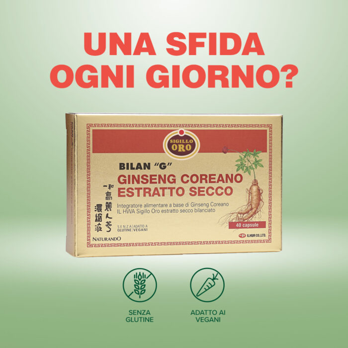 Bilan G - immagine 5