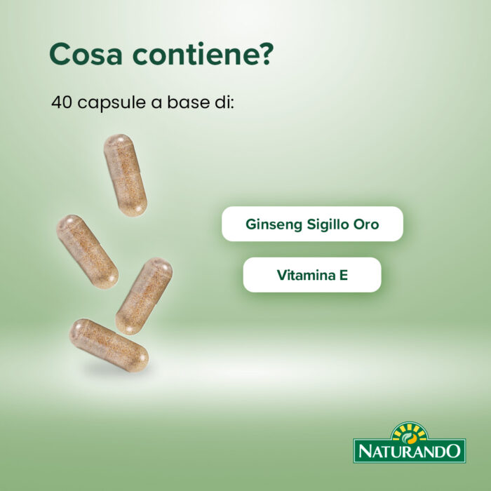 Bilan G - immagine 3