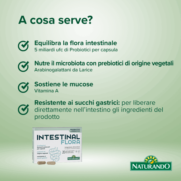 INTESTINAL FLORA - immagine 5
