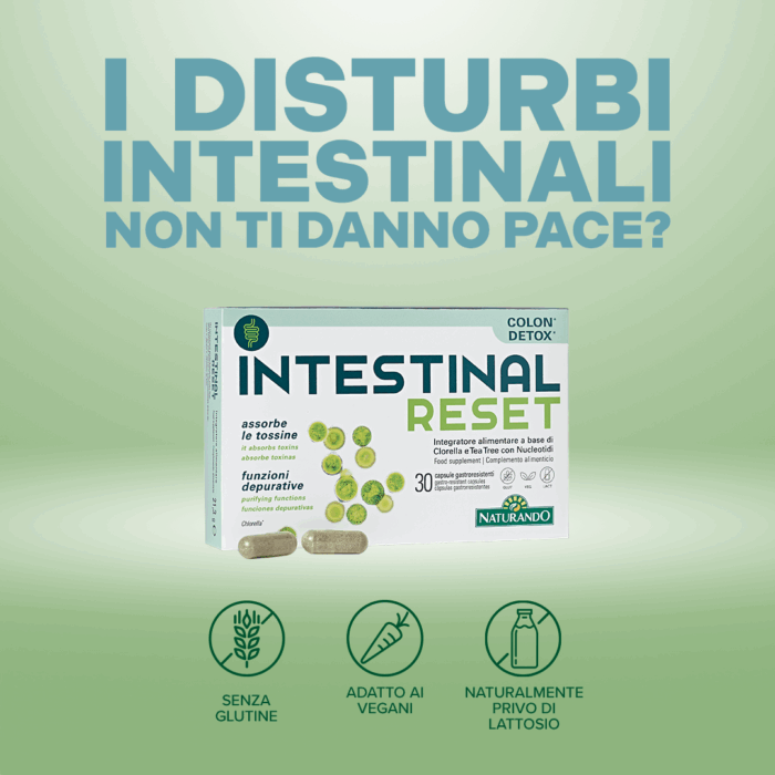 INTESTINAL RESET - immagine 2