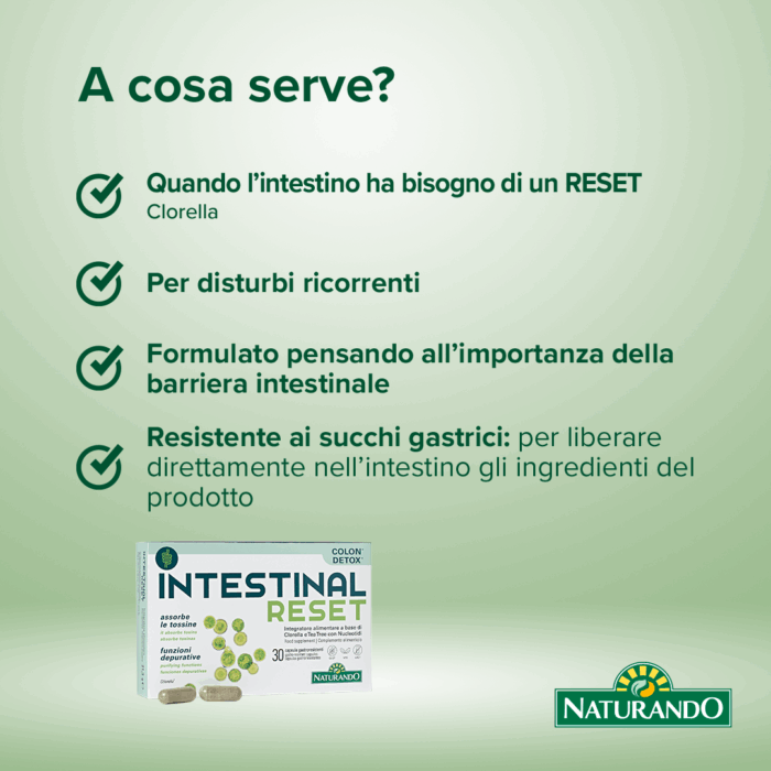INTESTINAL RESET - immagine 6