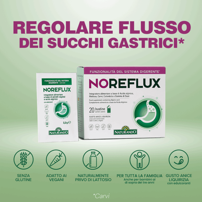 NOREFLUX - immagine 2