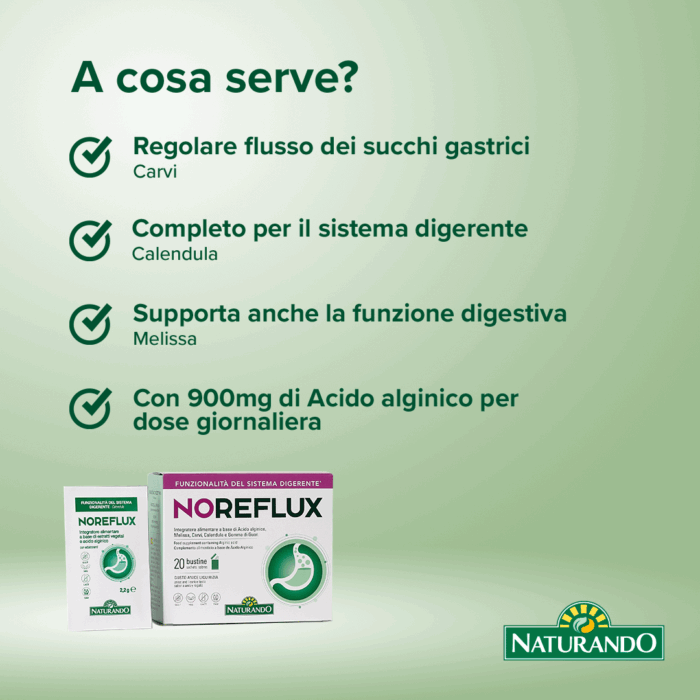 NOREFLUX - immagine 3