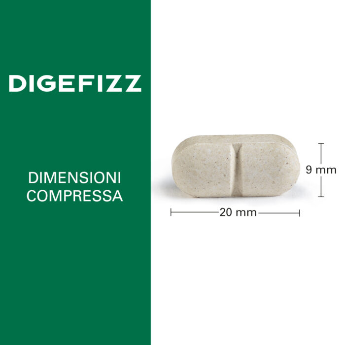 DIGEFIZZ - immagine 3