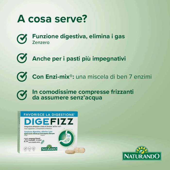 DIGEFIZZ - immagine 4